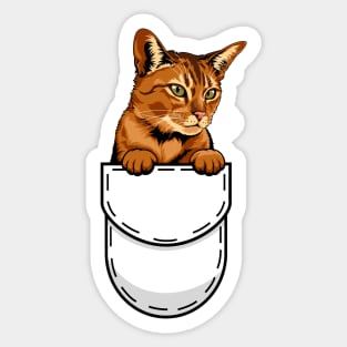 Funny Abyssinian Pocket Cat Sticker